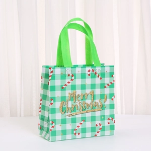 Detail of Christmas non-woven gift bag featuring green plaid and Merry Christmas text