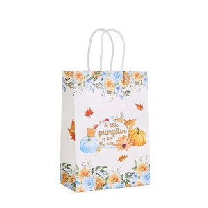 Floral pumpkin paper gift bag with 'A little pumpkin is on the way' print and rope handles