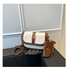 Detailaufnahme einer zweifarbigen Satteltasche mit Goldschnalle und Mini-Taschenzubehör