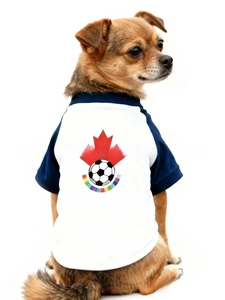 Détail du t-shirt pour animaux World Cup avec imprimés de feuilles d'érable et de foot