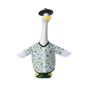 Close-up of garden goose outfit with green soccer print shirt and black trimmed hat