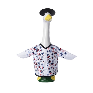 Detail of soccer print goose clothing set with black top hat and buttoned shirt