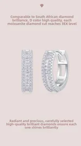 Λεπτομέρεια από πέτρες moissanite χρώματος D κοπής 3EX σε κρίκο από ασήμι 925