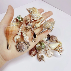 Assorted natural sea shell pendants with gold plated edges for DIY jewelry making