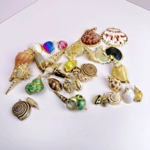 Macro shot of assorted natural sea shell pendants with gold electroplated edges for DIY