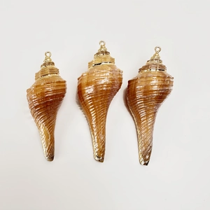 Detail view of natural spiral shell pendants with golden plated edges and metal caps