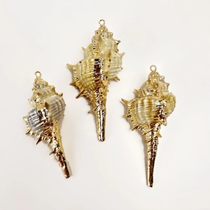 Macro shot of natural spiral shells with gold plated edges for DIY jewelry making