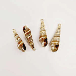 Detailed macro of natural conch shell charms with gold plated spiral bands and rings
