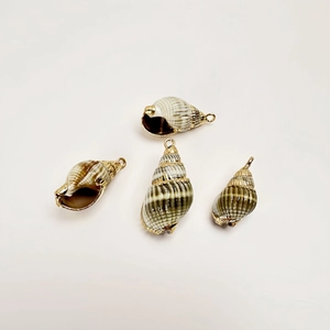 Detail of four natural striped seashells with gold electroplated edges for DIY jewelry