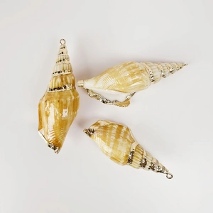 Macro detail of three spiral seashells with gold plated edges and metal rings for DIY jewelry