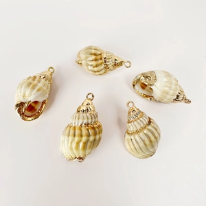 Detailed macro view of 5 natural seashell pendants with golden electroplated metal edges