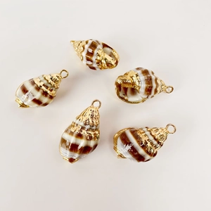 Detailed view of five natural spiral conch shell pendants with gold plated edges for DIY jewelry