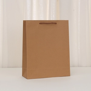 Close-up of plain kraft paper shopping bag with sturdy dark brown twisted rope handles