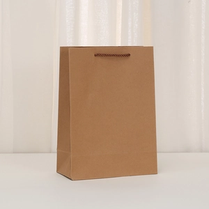 Minimalist brown kraft paper gift bag with dark brown twisted rope handles for shopping