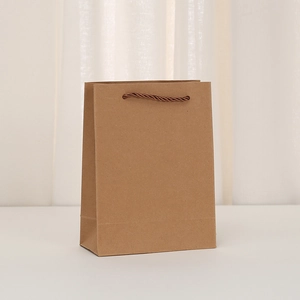Minimalist brown kraft paper gift bag with twisted handles for jewelry and fashion storage