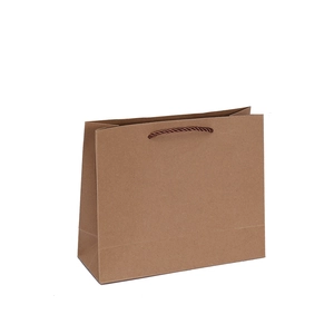 Classic brown kraft paper gift bag with dark brown twisted rope handles on white background
