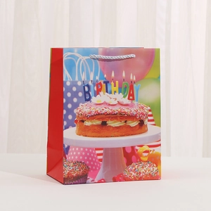 Birthday party gift paper bag with cake and balloon print and silver rope handles