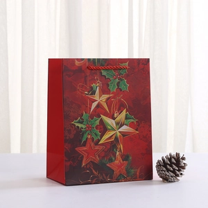 Christmas gift bag with festive star patterns and red rope handles on white surface