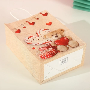 Detail view of heart bear kraft gift bag measuring 21x15x8cm with white rope handles