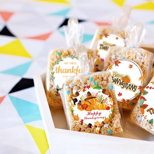 38mm round Thanksgiving stickers featuring pumpkins and turkeys on clear packaging