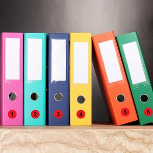 Set of 6 colorful lever arch files with spine labels and metal pull holes for office storage