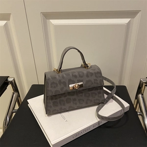 Grey leopard print mini crossbody bag with gold twist lock on decorative books