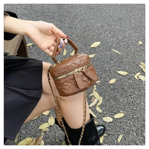 Brown quilted vanity bag with golden chain strap on autumn street with leaves