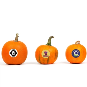Autocollants d'Halloween avec fantômes et citrouilles sur de vraies citrouilles