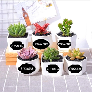 Set of 6 succulent ceramic pots with black erasable waterproof chalk labels stickers