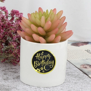 Pot de succulente avec sticker noir Happy Birthday doré pour décoration de cadeau