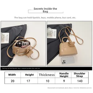 Detailed size guide and interior capacity view for the jelly shoulder handbag