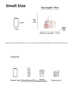 Size chart and capacity guide for small white handbag showing dimensions and storage space