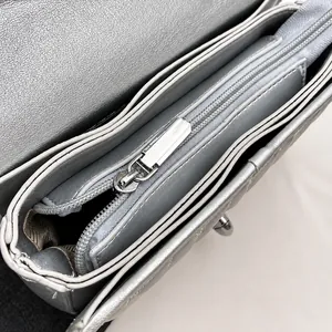 Detail view of the silver metallic bag showing smooth zipper and internal compartments