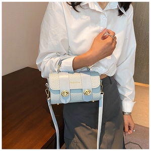 Détail du petit sac carré bleu clair motif crocodile avec fermoirs dorés rotatifs