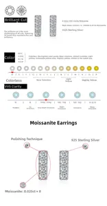 Détails des boucles d'oreilles Moissanite D VVS1 en argent 925 avec certificat de coupe
