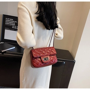 Detailed close-up of a red quilted chain crossbody bag with a metal twist-lock buckle