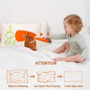 Unpacking guide showing a carrot pillow restoring fluffiness after vacuum sealing