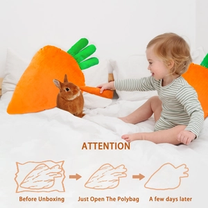Detailed vacuum expansion process and recovery of carrot plush pillow after unboxing