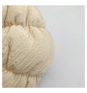 Detailed close-up of beige pleated fabric texture on a soft fashion dumpling bag