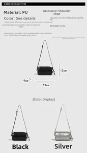 Detailed size chart for silver pillow bag with dimensions 19cm x 9cm x 12cm
