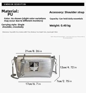 Silver square crossbody bag detail with chain strap, metal lock and size dimensions