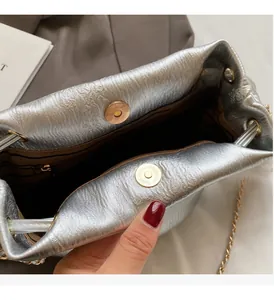 Detailed view of silver pleated bucket bag showing gold magnetic closure and interior pocket