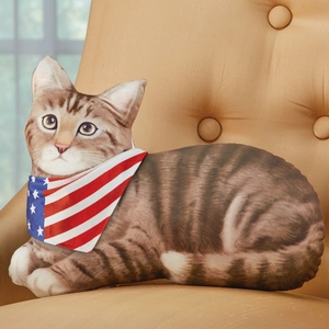 Close-up of a 3D cat pillow with an American flag scarf on a cozy fabric sofa