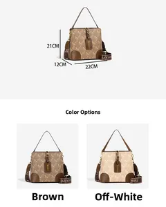 Detailed size chart of women bucket bag with dimensions 22x21x12cm in brown and white