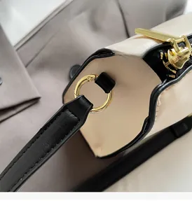 Close-up of polished gold hardware and stitching detail on a stylish crossbody bag