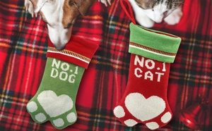 Chaussettes de Noël tricotées pour animaux avec texte NO.1 DOG et NO.1 CAT brodé