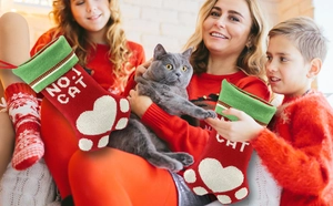 Détail de chaussettes de Noël en tricot rouge et vert avec motifs patte et texte NO.1 CAT