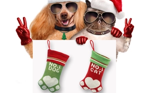 Détail de chaussettes de Noël pour animaux avec motifs tricotés NO.1 DOG et NO.1 CAT dorés