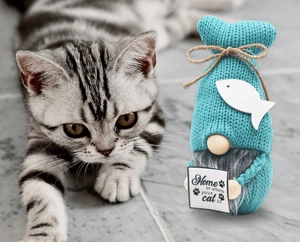 Dettaglio di gnomo in maglia blu con cartello per gatti su sfondo con un gatto vero