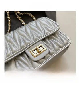 Macro shot of silver quilted leather texture and golden twist lock on chain bag